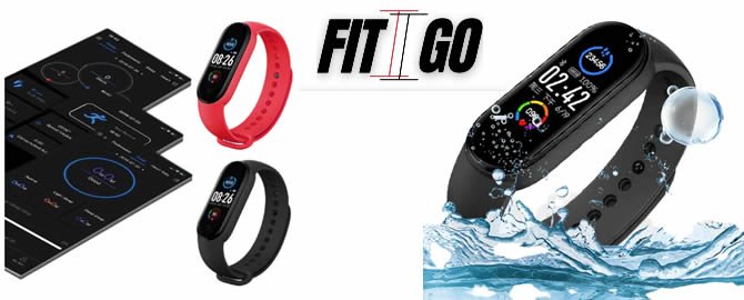Fit 2 Go original review and opinions